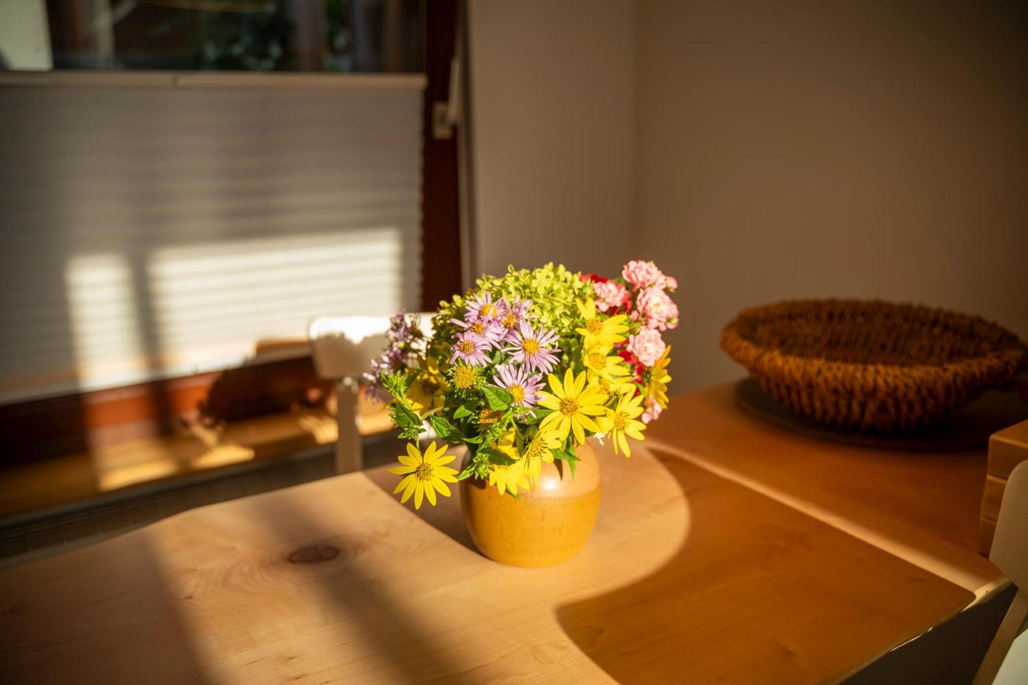 Apartmán Haus Unterm Mammutbaum - Elberadweg Magdeburk Exteriér fotografie